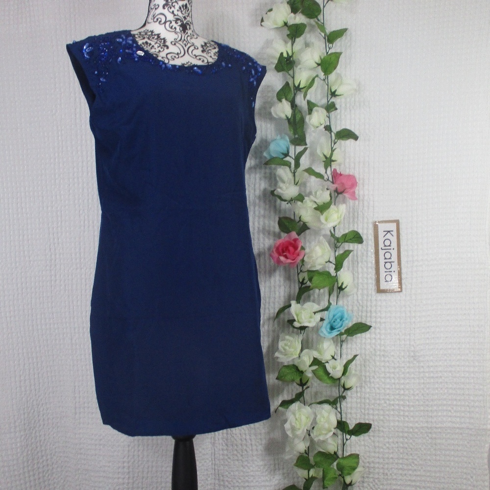 PARAELLA Blue Sleeveless Tunic Top Size Large